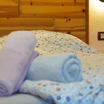 Apartmaji Katja * Bohinj