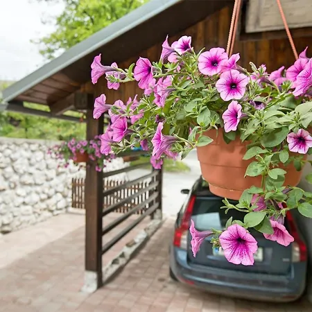 아파트 Apartmaji Katja *