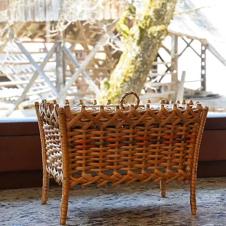 Apartmaji Katja Bohinj