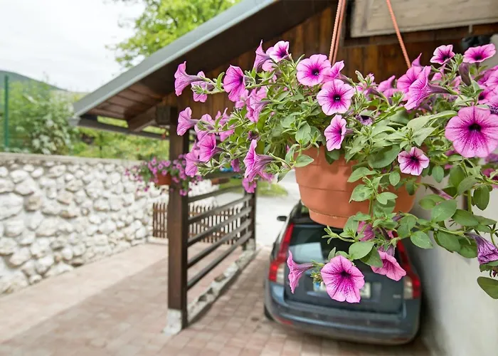 Lägenhet Apartmaji Katja *